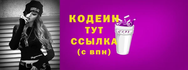 спиды Снежногорск