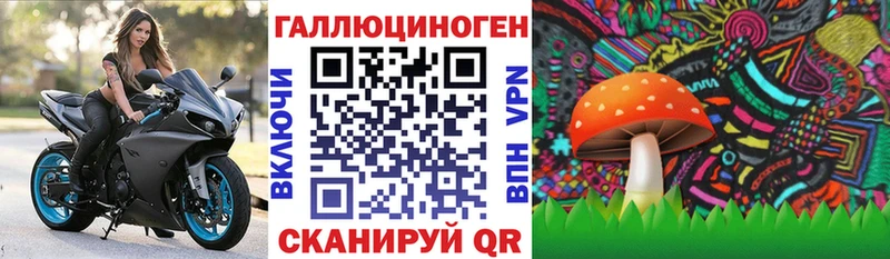 kraken ТОР  хочу наркоту  Медногорск  Псилоцибиновые грибы прущие грибы 