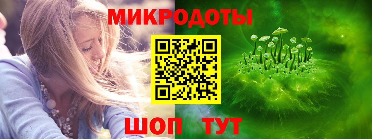 Псилоцибиновые грибы Cubensis Медногорск